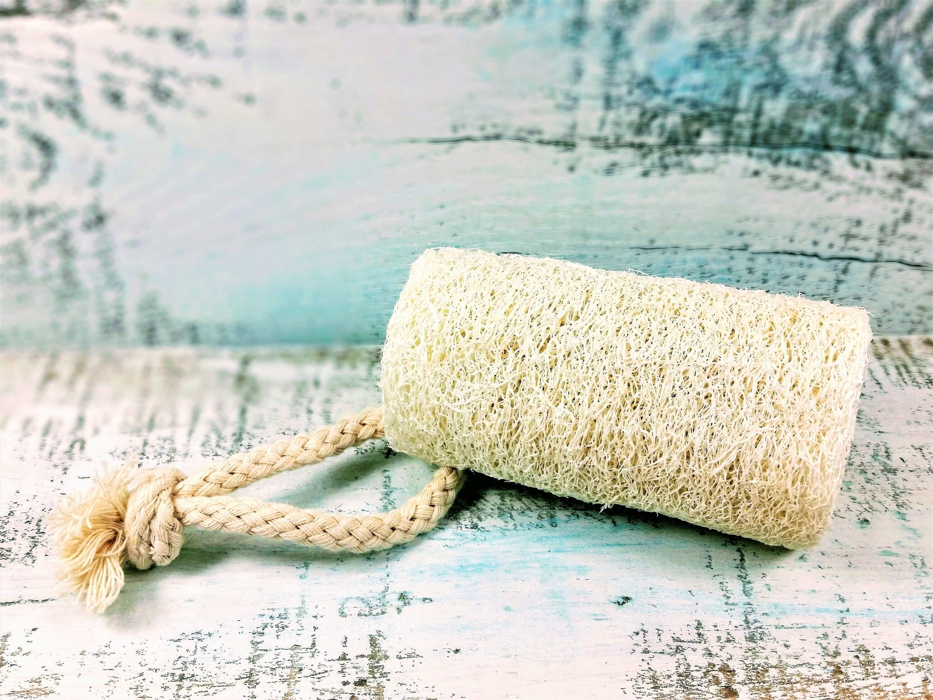 Organic Natural 4" Loofah, loofa, luffa, vegan loofah, natural sponge,